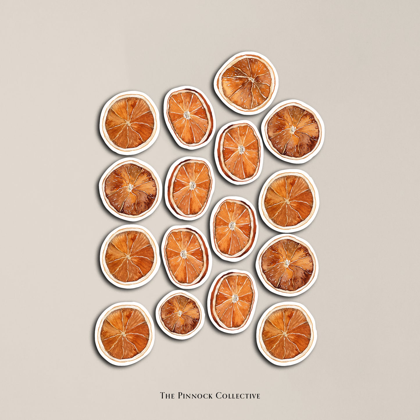 Watercolour Dried Oranges Sticker Sheet
