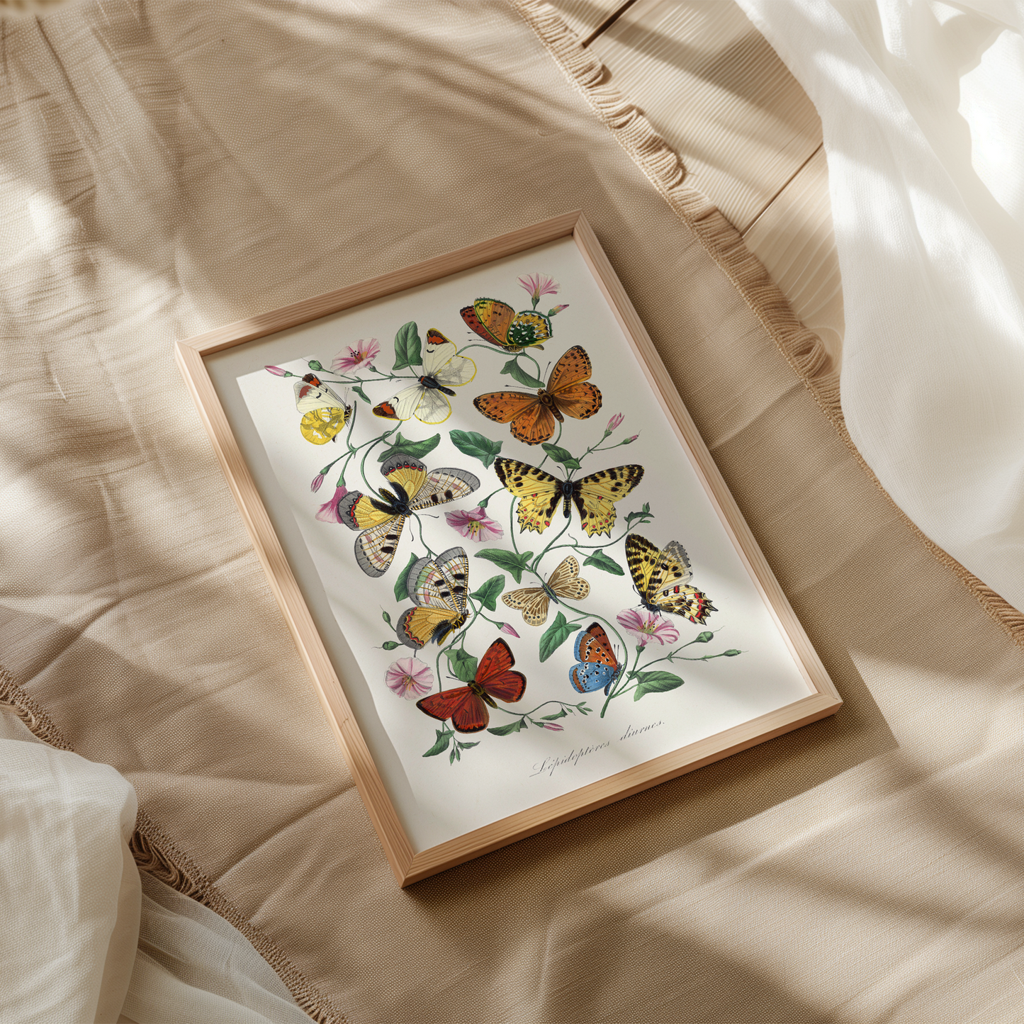 Vintage Floral Butterflies Art Print