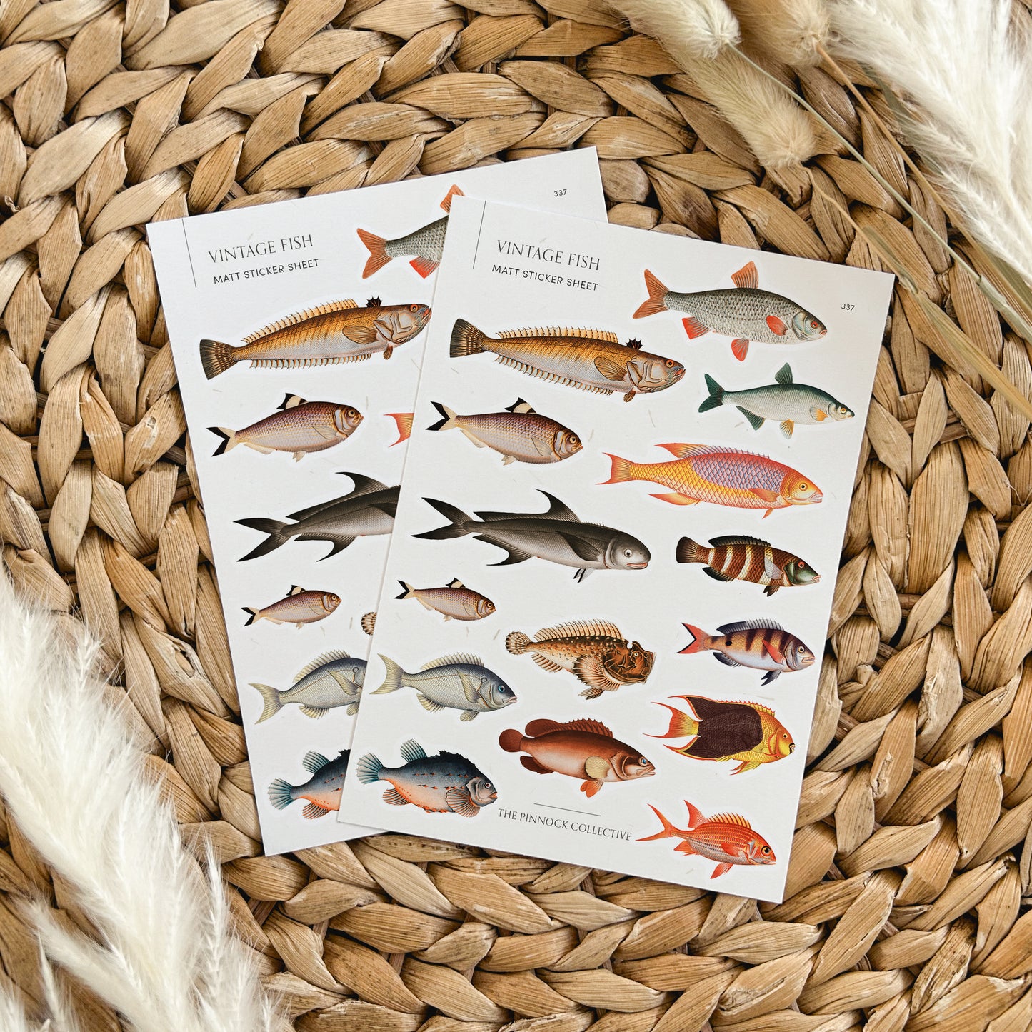 Vintage Fish Sticker Sheet