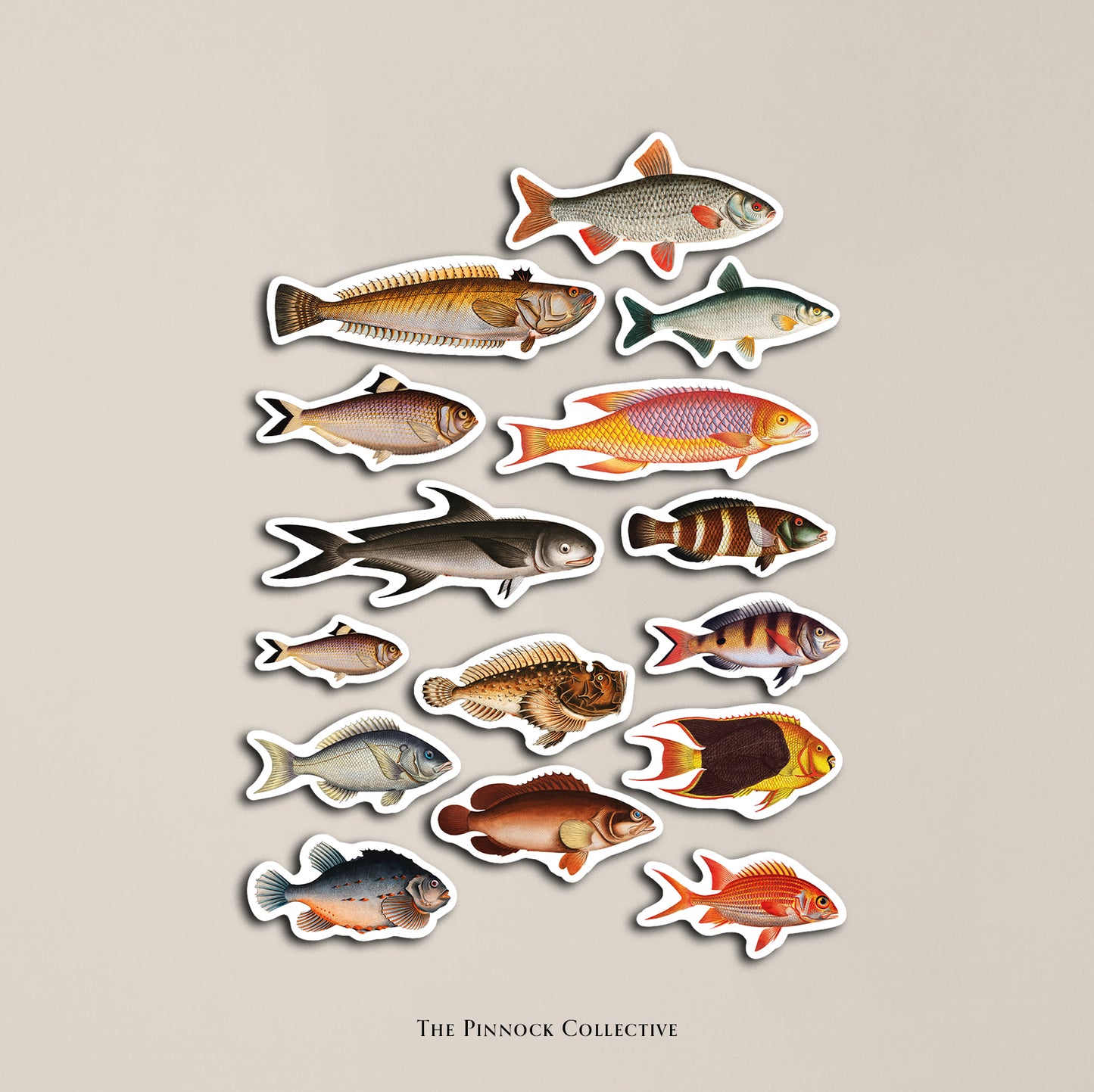 Vintage Fish Sticker Sheet