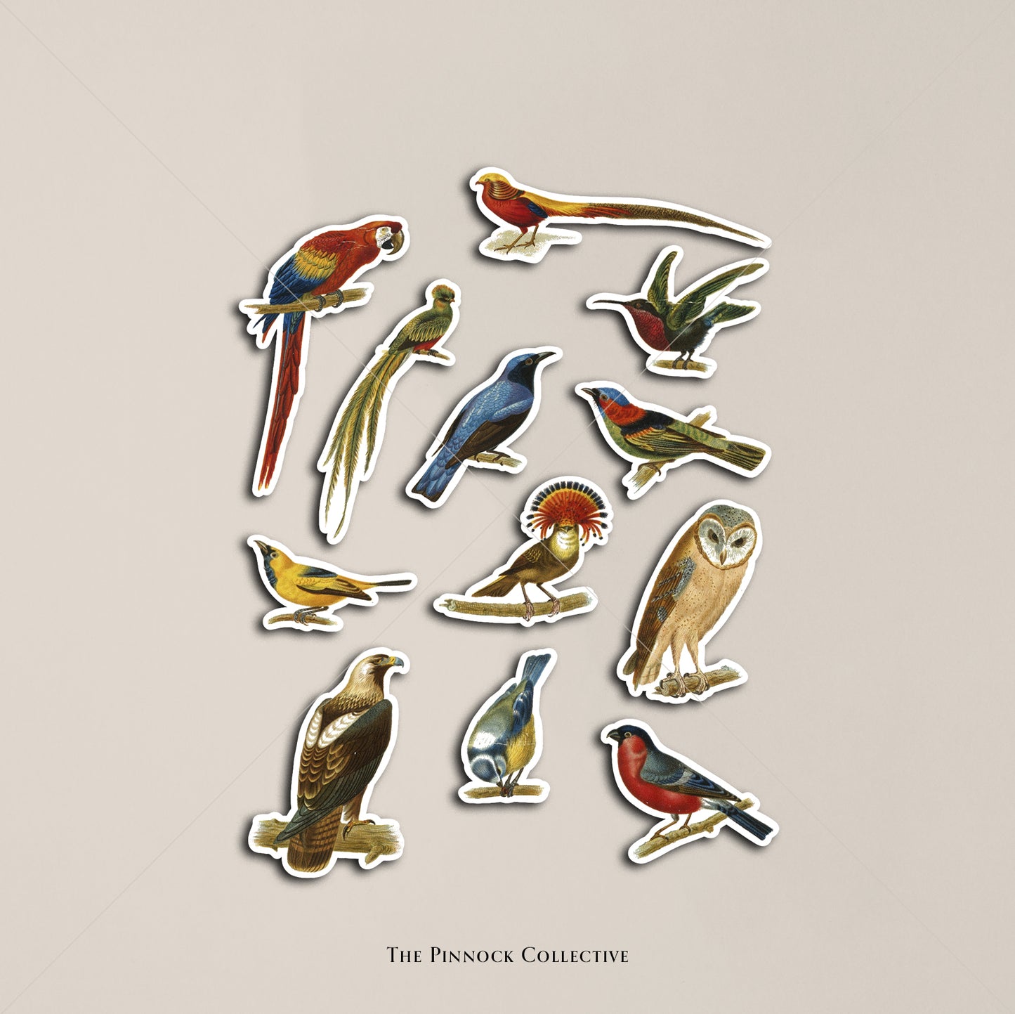 Vintage Birds Sticker Sheet