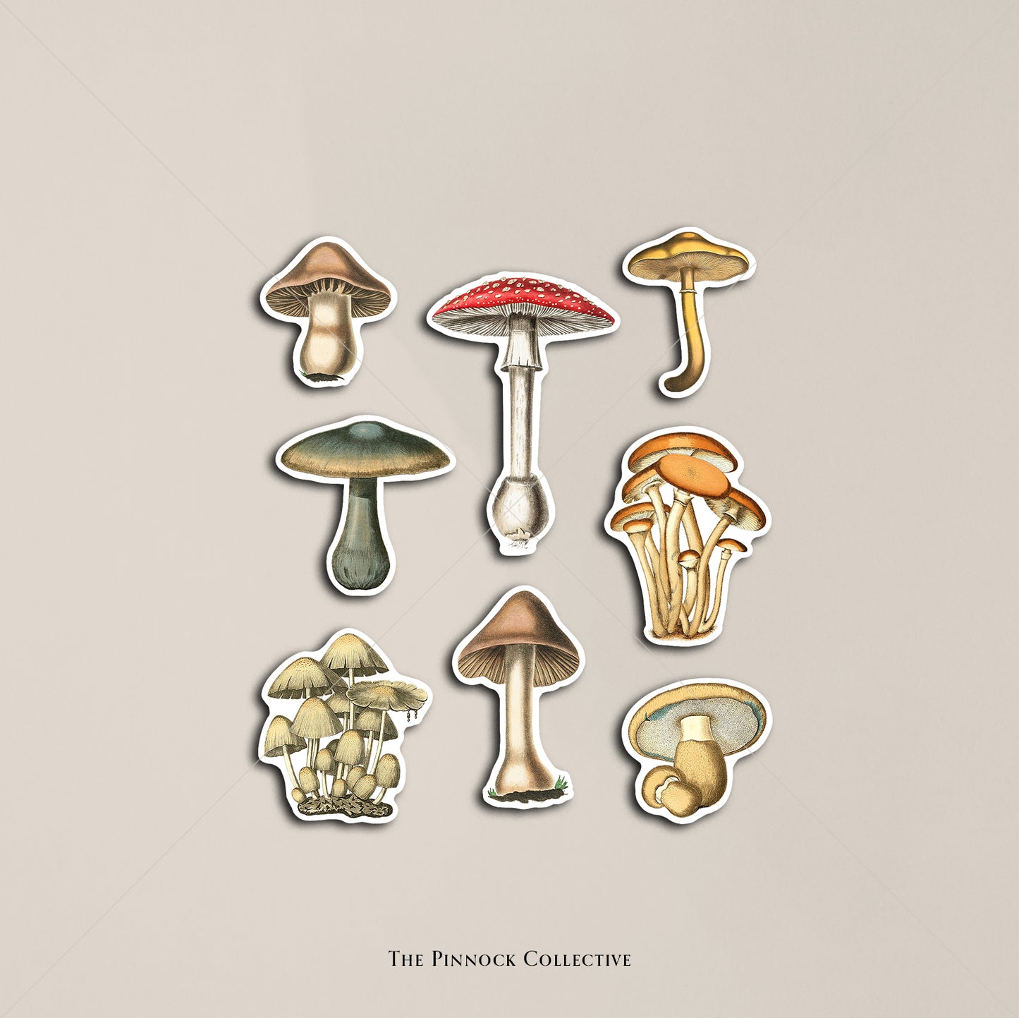 Vintage Mushrooms Sticker Sheet