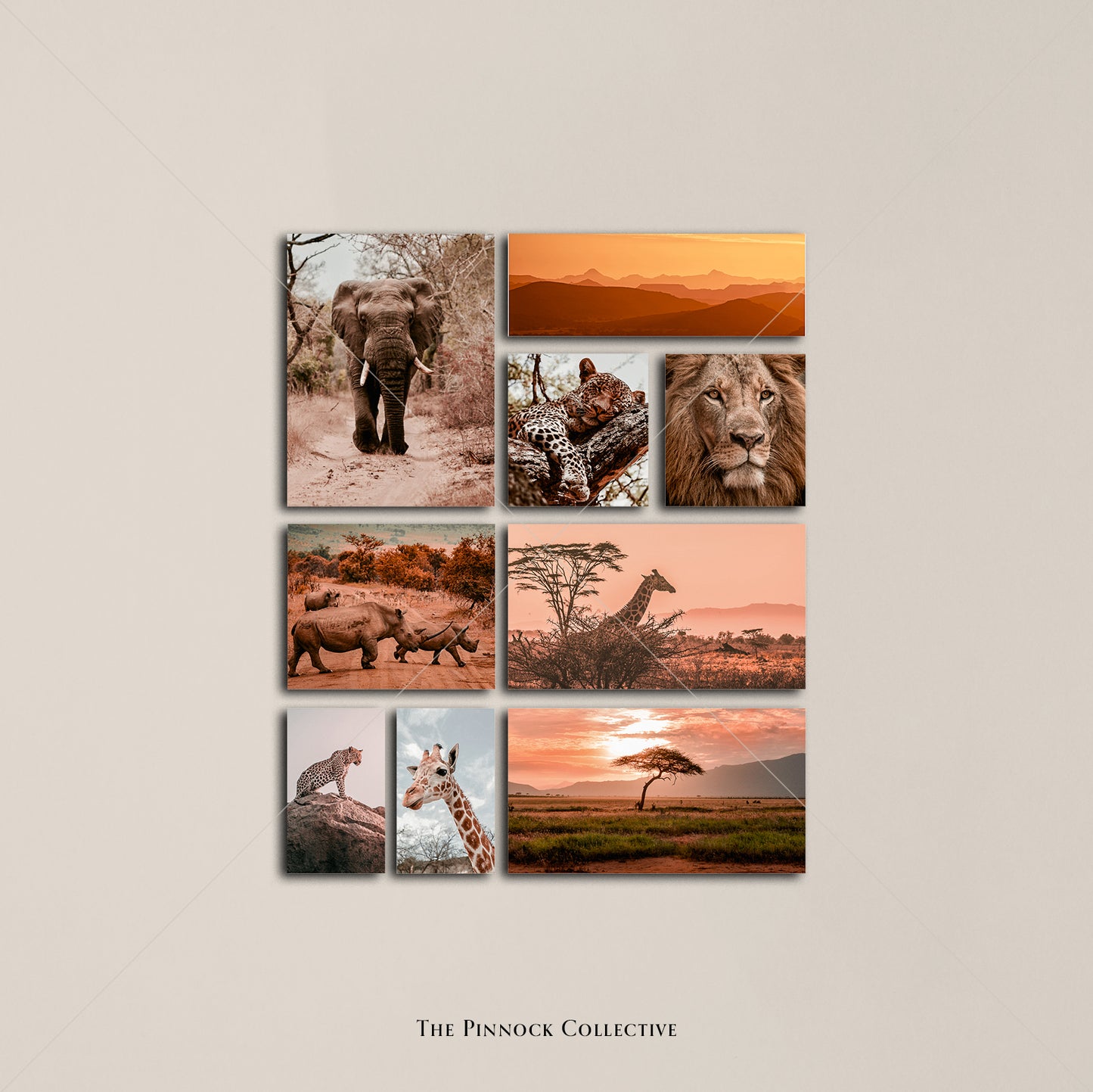 Safari Sticker Sheet