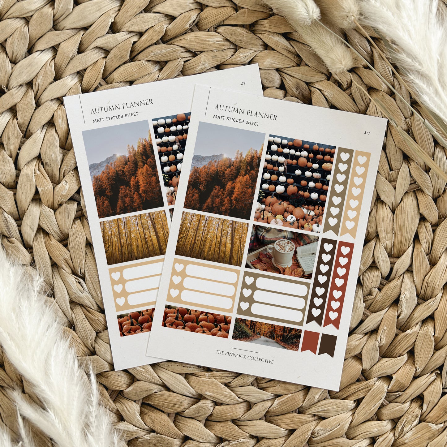 Autumn Themed Planner Sticker Sheet