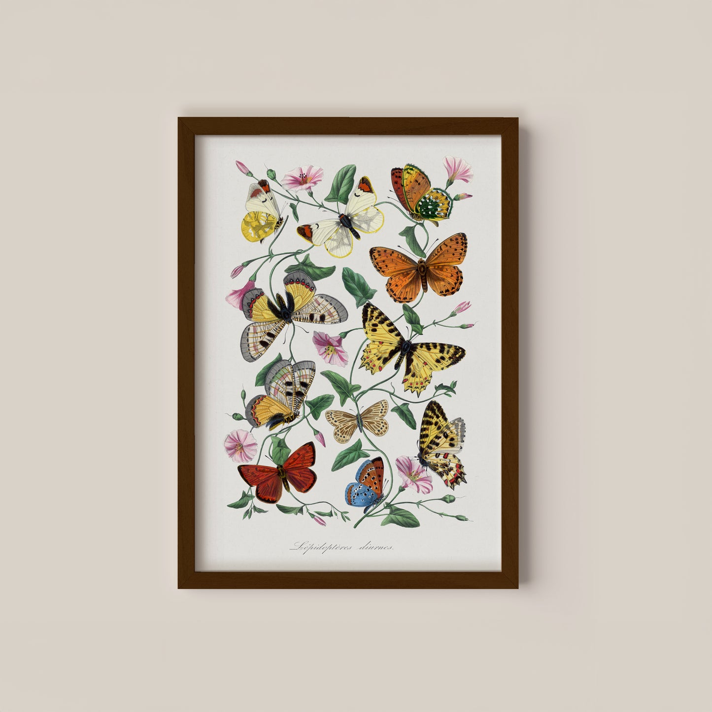 Vintage Floral Butterflies Art Print