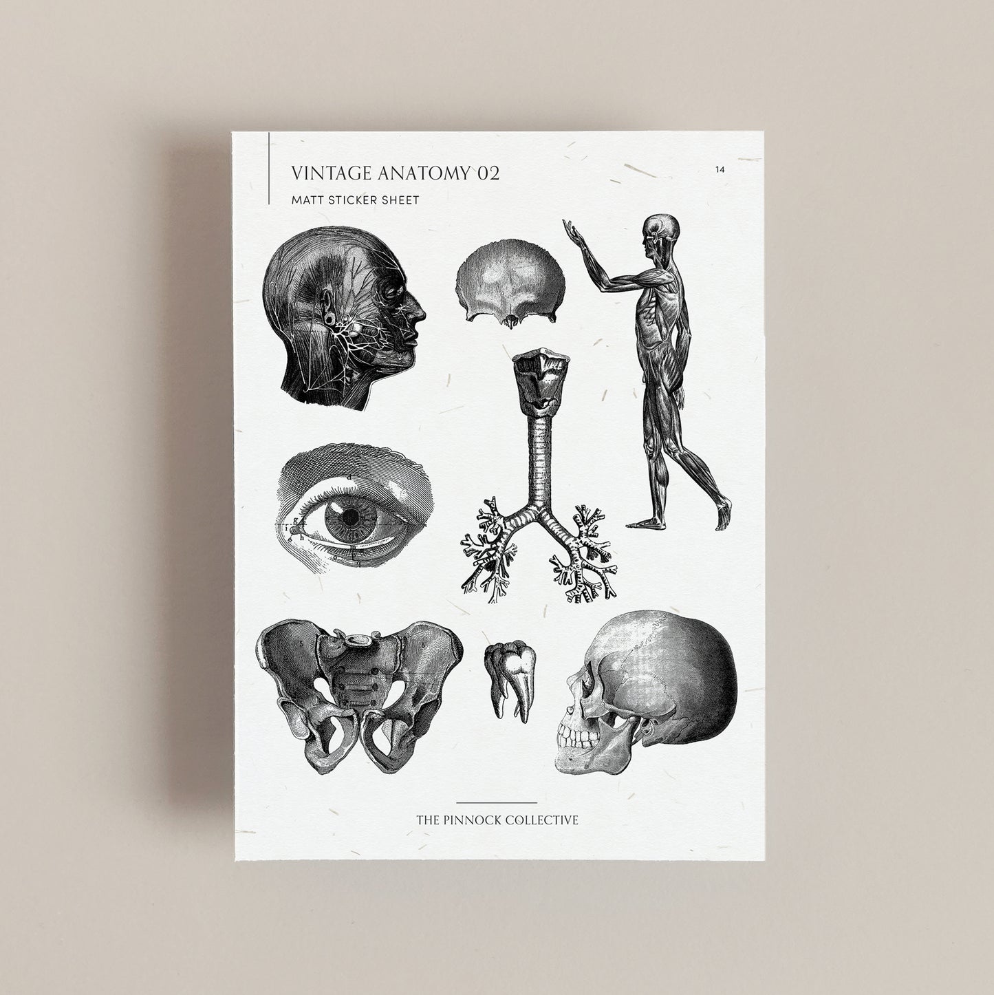 Vintage Medical Sticker Sheet