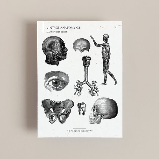 Vintage Medical Sticker Sheet
