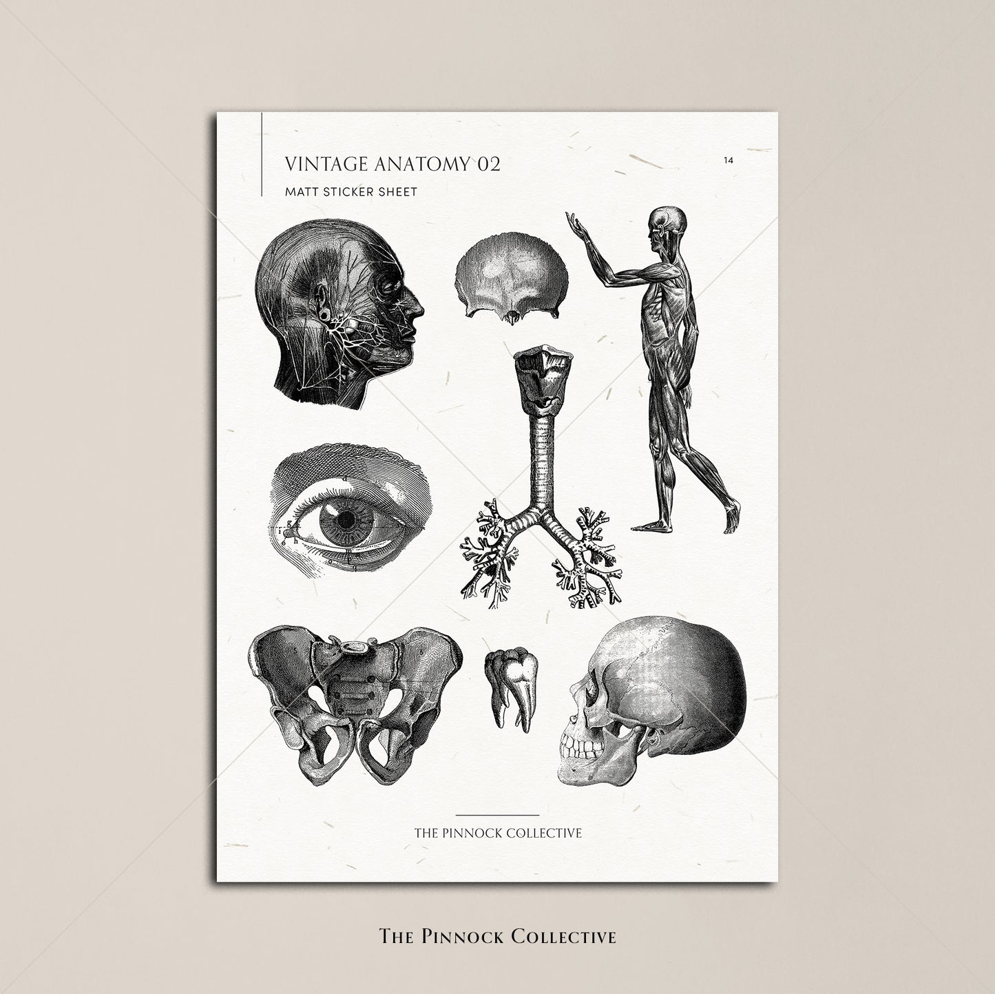 Vintage Medical Sticker Sheet