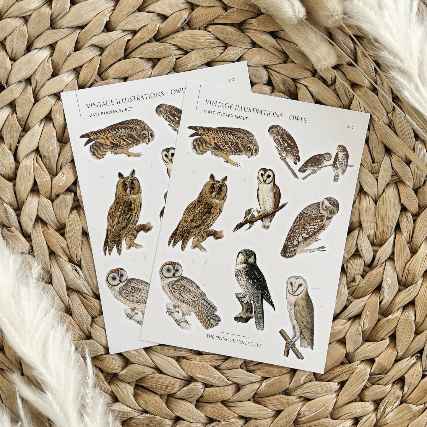Vintage Owls Sticker Sheet