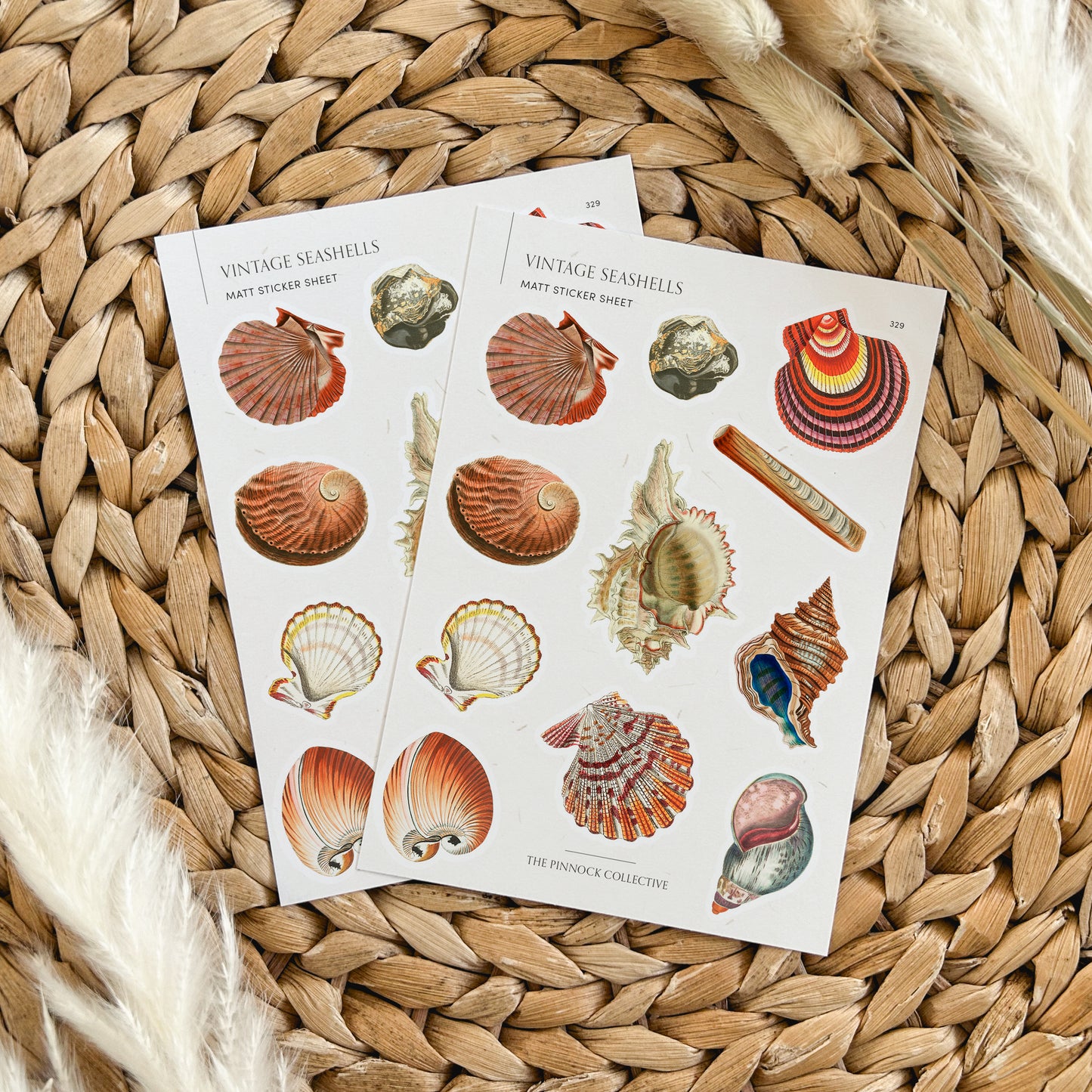 Vintage Seashells Sticker Sheet