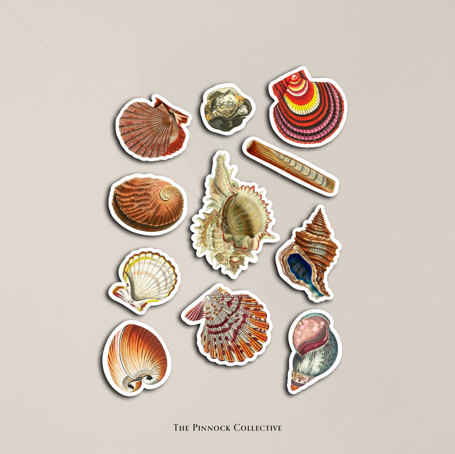 Vintage Seashells Sticker Sheet