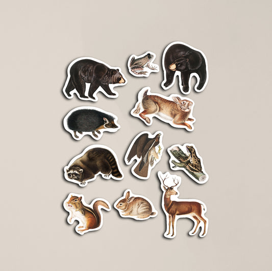 Forest Animals Sticker Pack