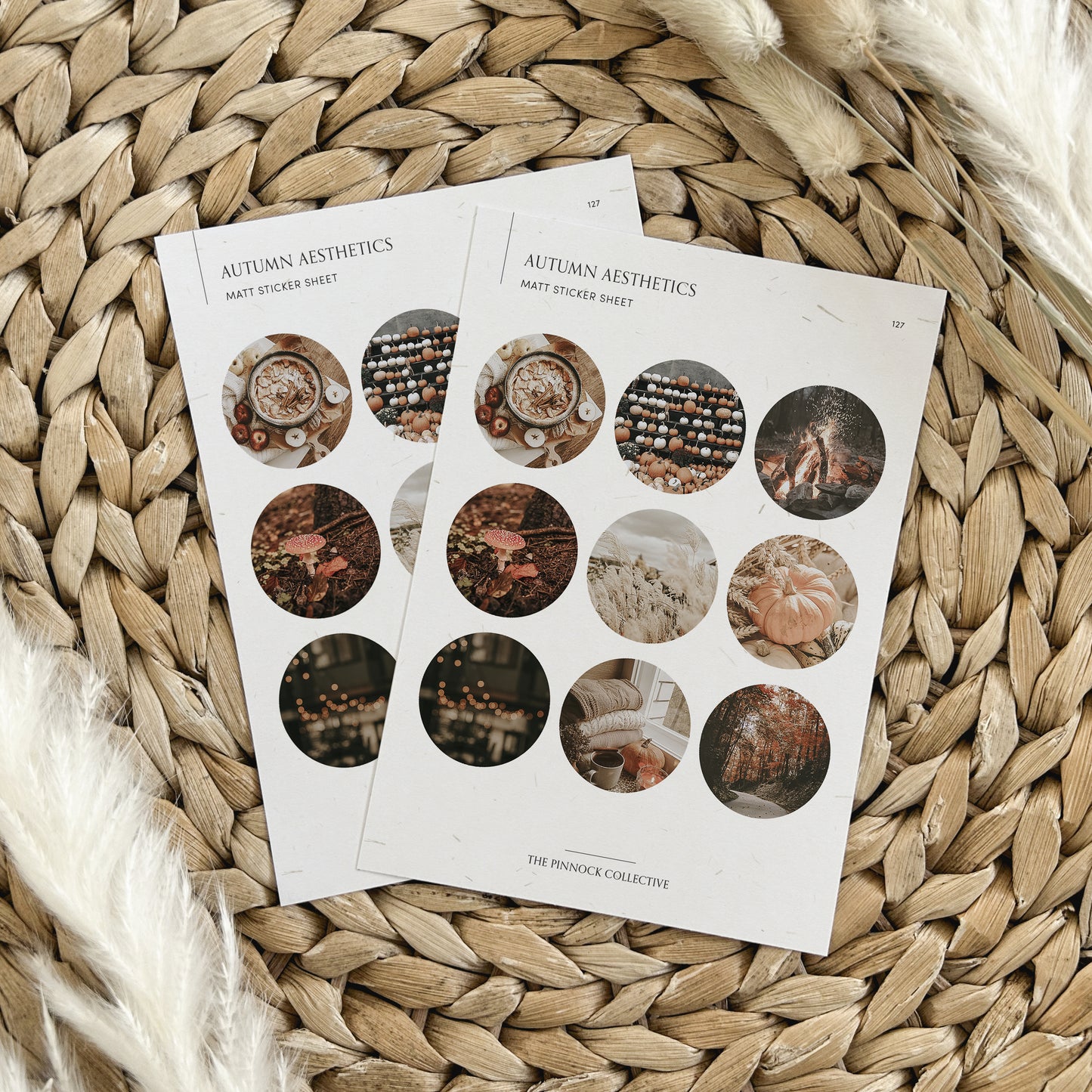 Autumn Circles Sticker Sheet