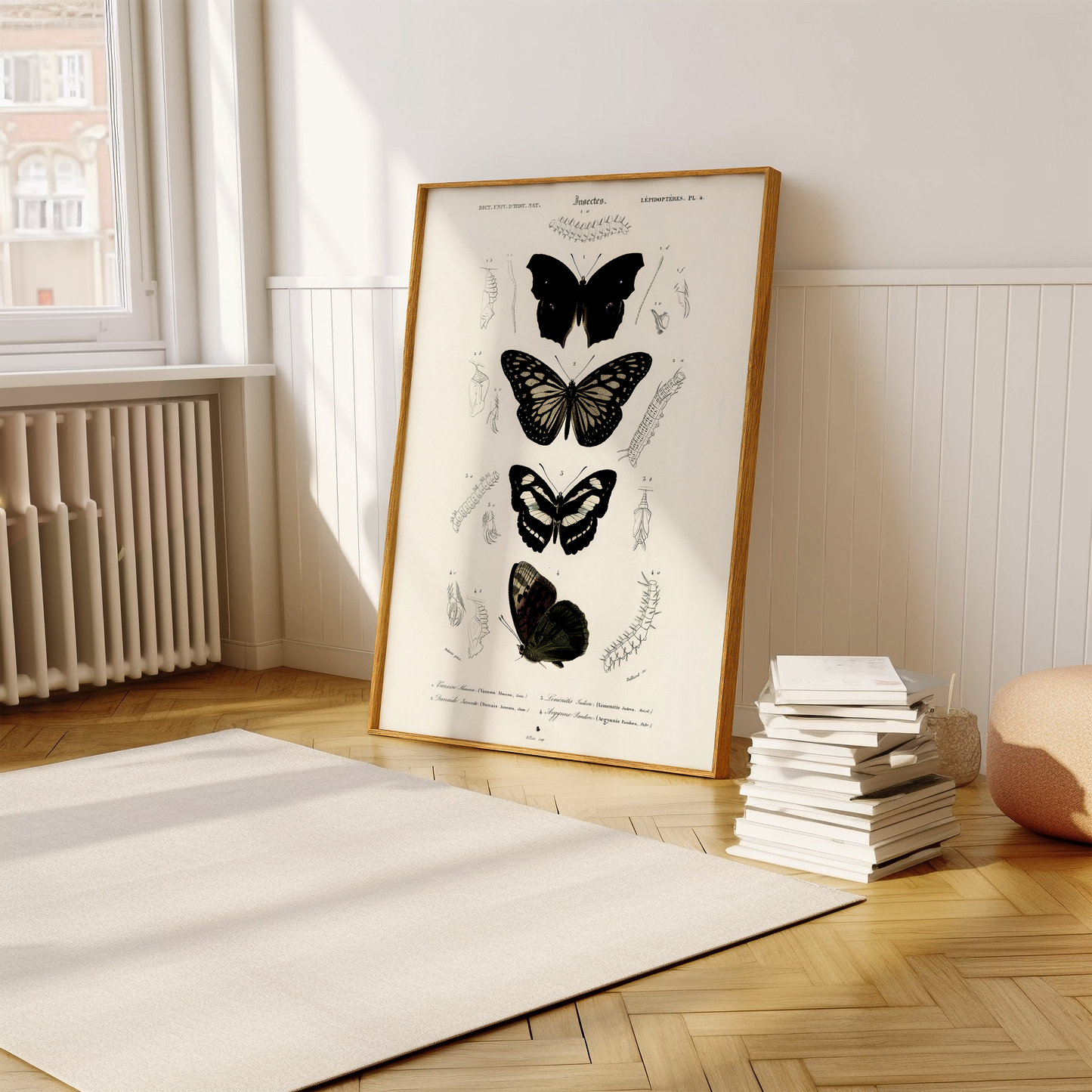 Vintage Black Butterfly Diagram Art Print