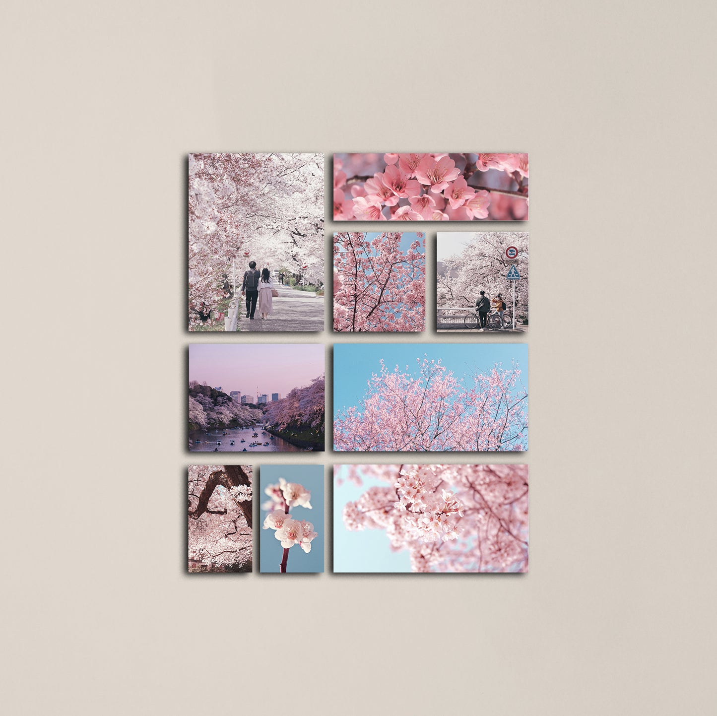 Cherry Blossom Sticker Sheet