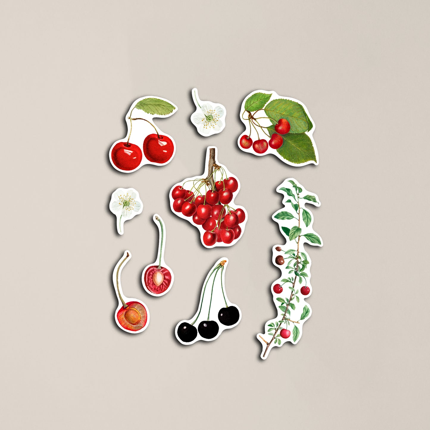 Vintage Cherries Sticker Sheet