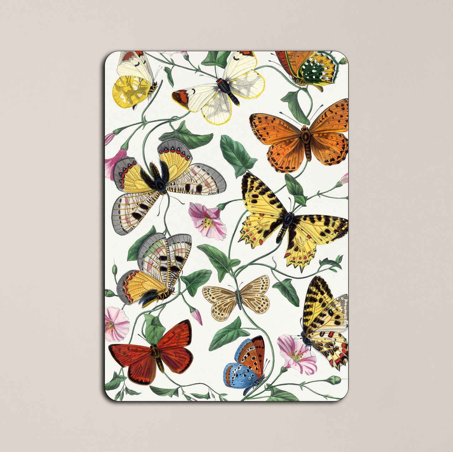 Floral Butteflies Kindle Insert