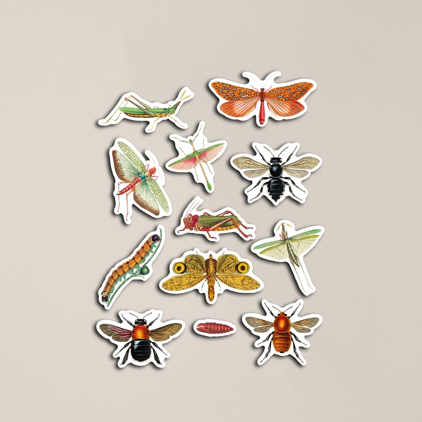 Vintage Insects Sticker Sheet