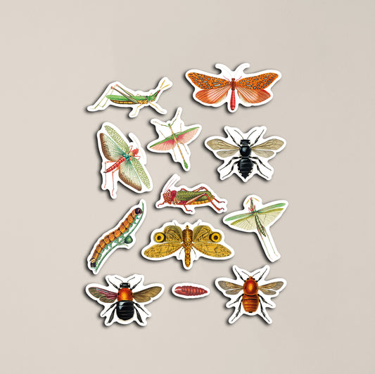 Vintage Insects Sticker Pack