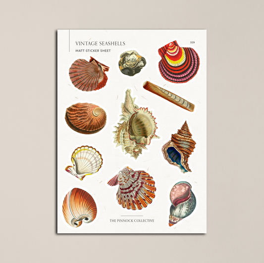 Vintage Seashells Sticker Sheet