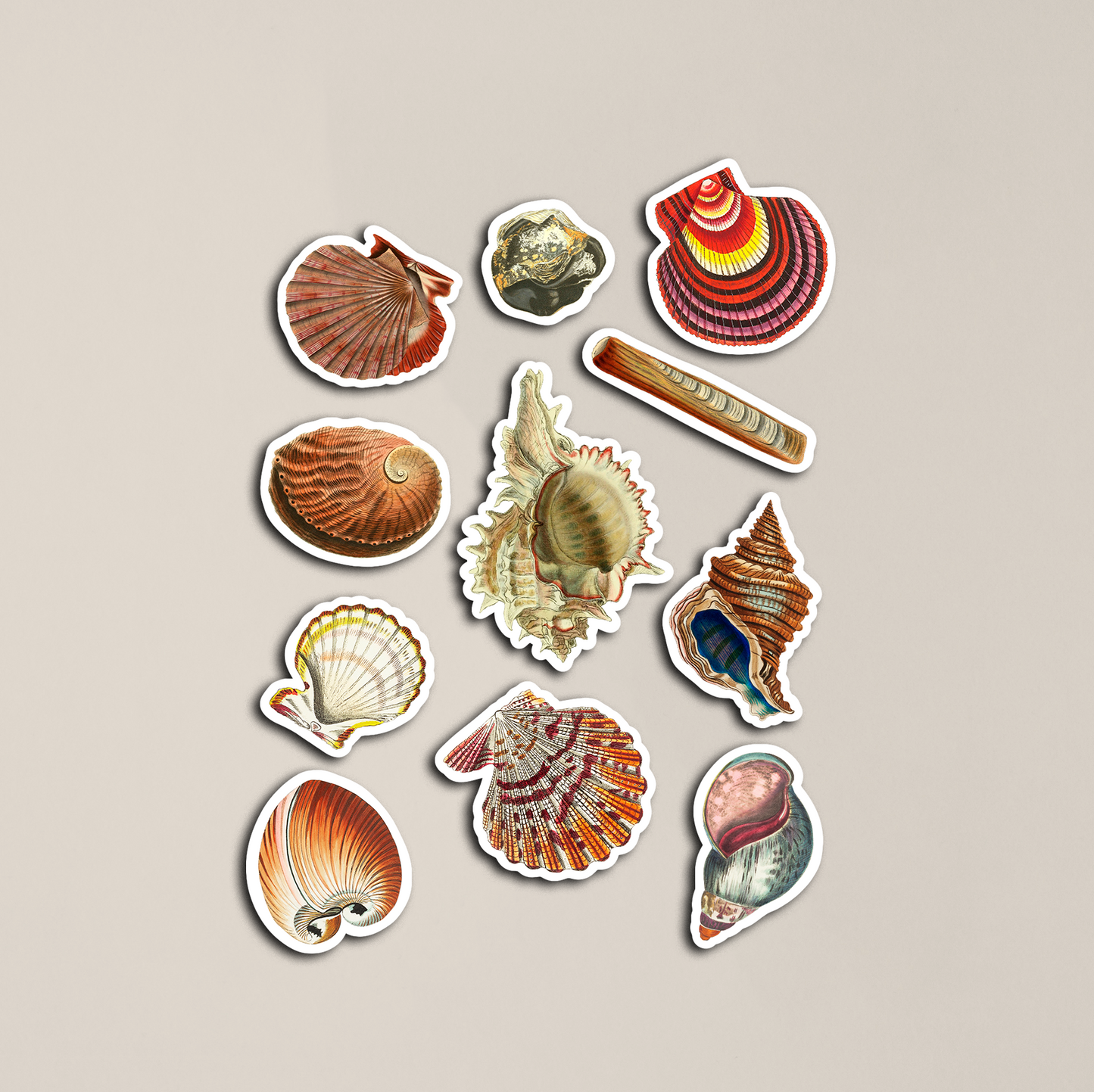 Vintage Seashells Sticker Sheet