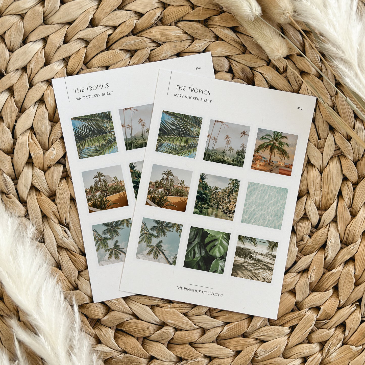 The Tropics Sticker Sheet