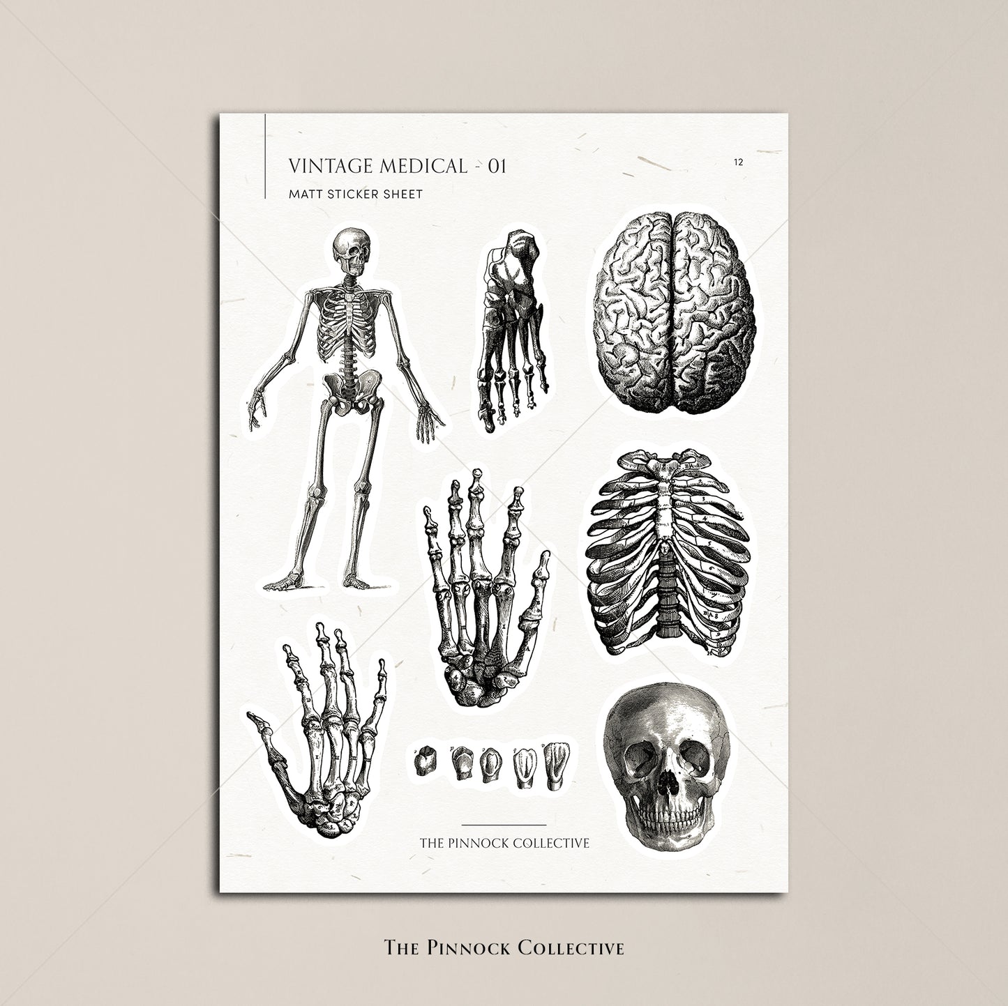 Vintage Medical Sticker Sheet